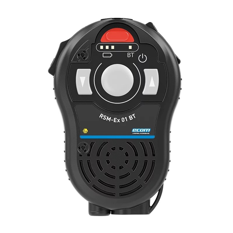 Pepperl Fuchs RSM-Ex 01 BT