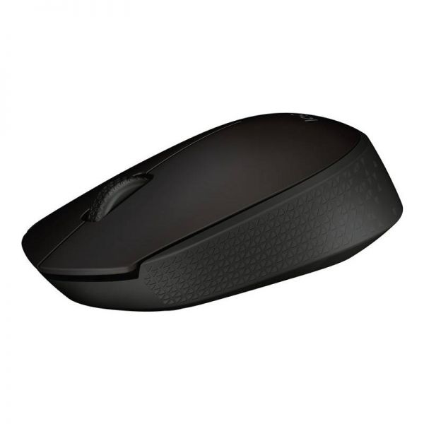 Souris Logitech B170
