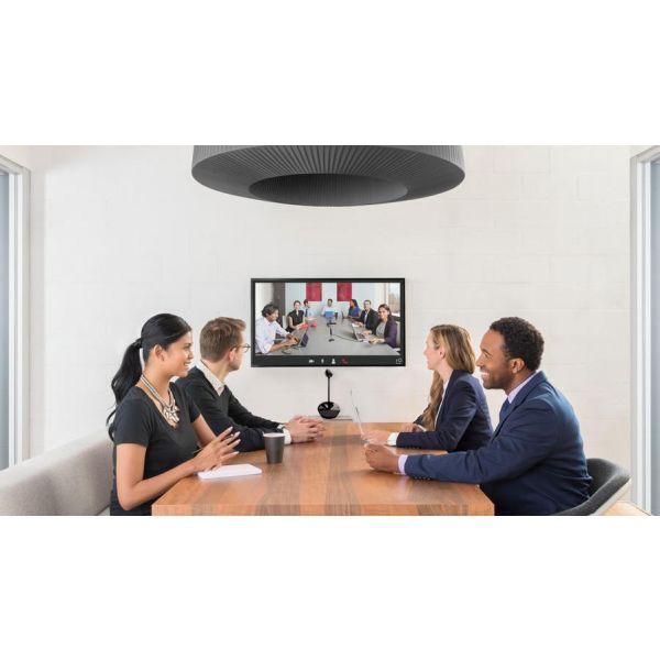 Logitech ConferenceCam BCC950