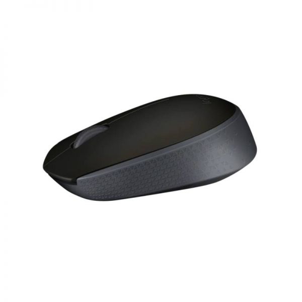 Souris Logitech M171