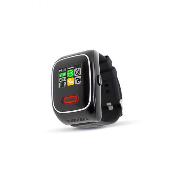 EMERIT E-WG100