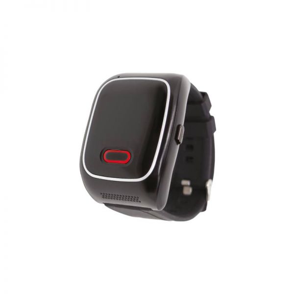 EMERIT E-WG100