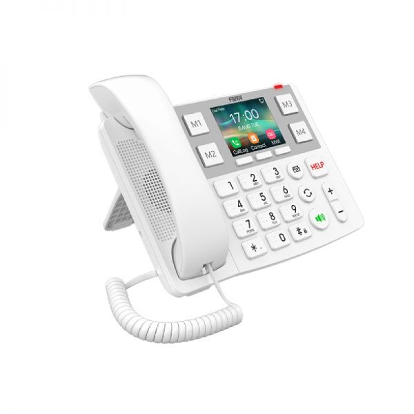 Fanvil X305 IP