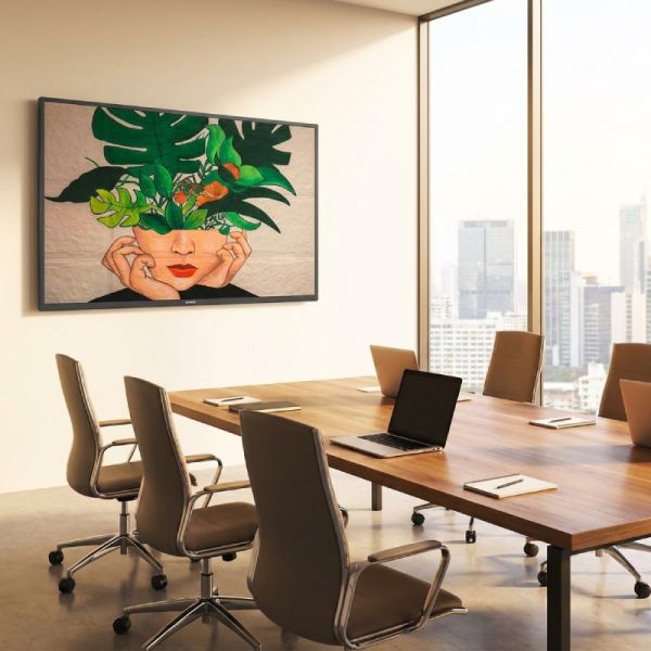 Philips D-Line 55BDL4511D