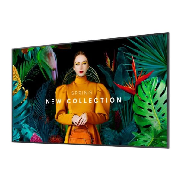 Samsung QMC 65'' + support mural Neomounts