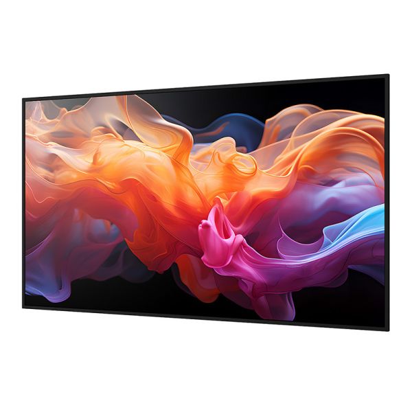 Sharp MultiSync E659