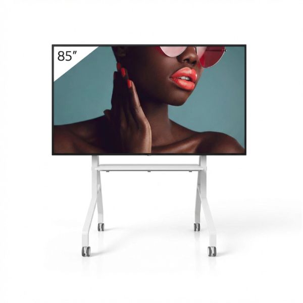 Pack Sony BRAVIA BZ40L 85’’ + Neomounts FL50-525WH1