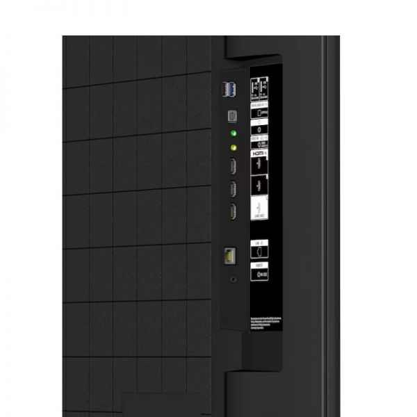 Sony BRAVIA EZ20L 65”