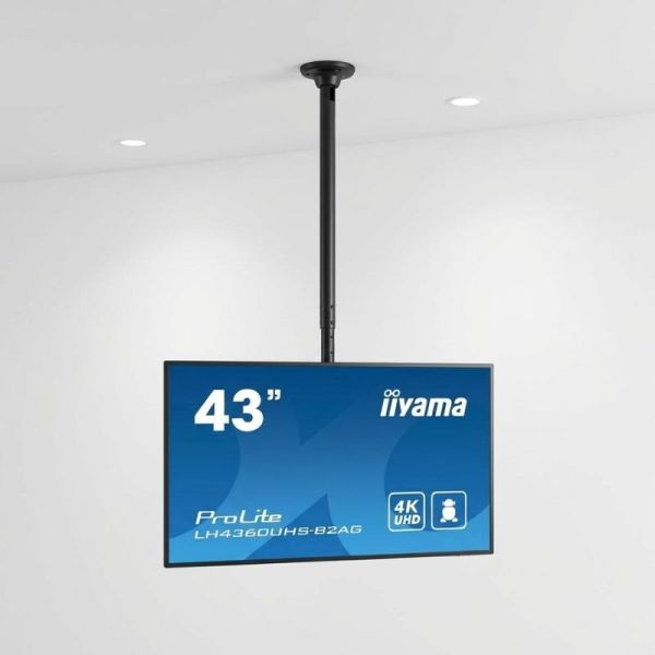 Neomounts FPMA-C340BLACK ceiling mount with iiyama 43