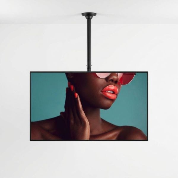 Neomounts FPMA-C340BLACK ceiling mount with Sony BRAVIA BZ40L 65