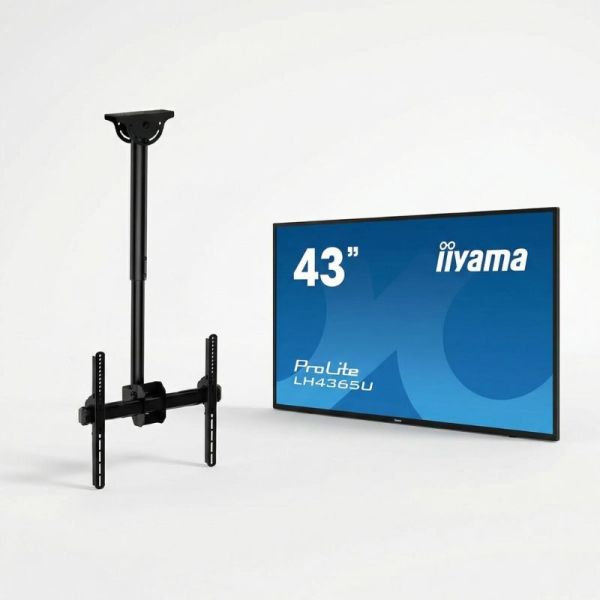 Pack iiyama ProLite LH4365UHSB-B1 43