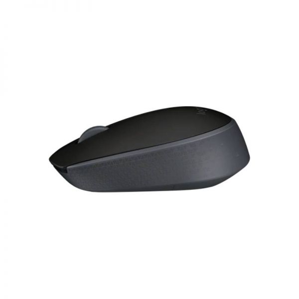 Souris Logitech M171