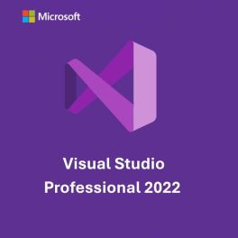 Microsoft Visual Studio 2022 Professional