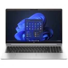 HP ProBook 455 G10 15,6''