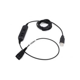 Cordon USB 260