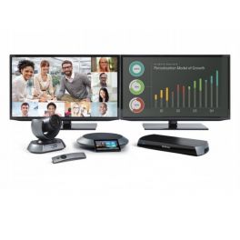Lifesize Icon 600