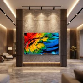 Philips 75HFL6214U Hospitality Display Installation