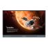 BenQ Board Pro RP7504