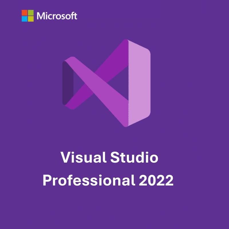 Microsoft Visual Studio 2022 Professional