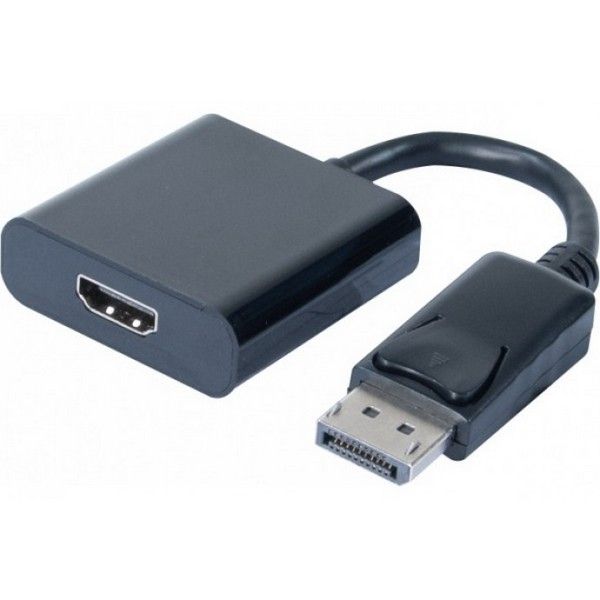 Convertisseur Display Port vers HDMI 20cm