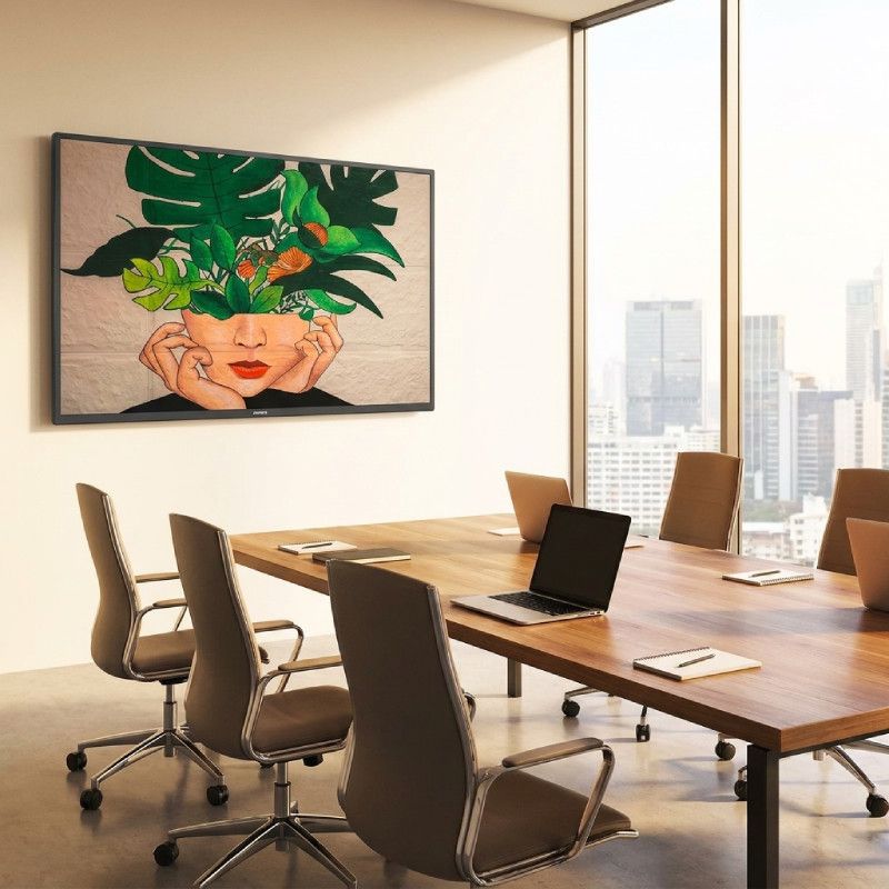 Philips D-Line 55BDL4511D Écran 4K 55''