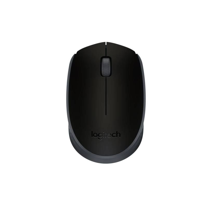 Souris Logitech M171