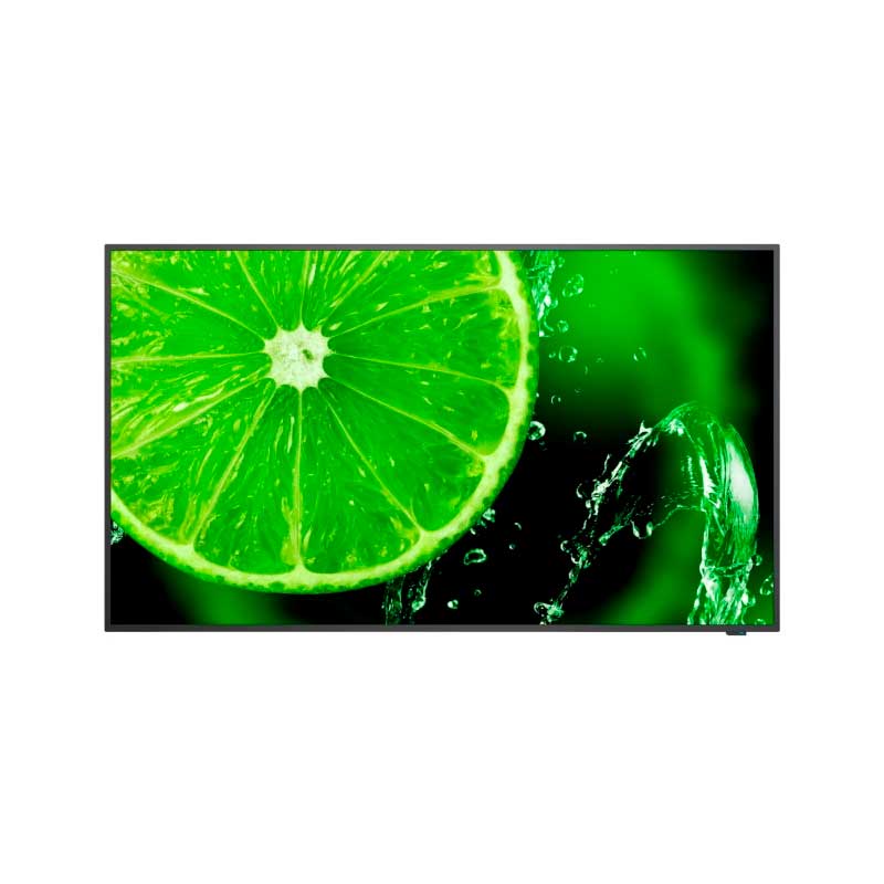 NEC MultiSync E498 49'' Display