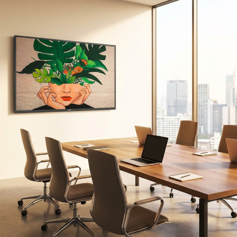 Philips D-Line 55BDL4511D Écran 4K 55''