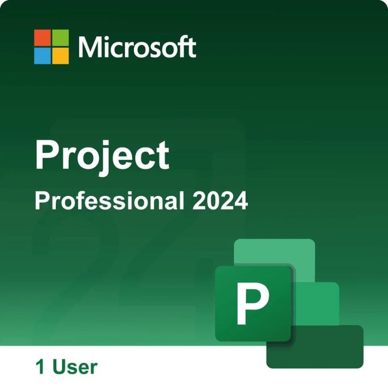 Microsoft Project Standard 2024 pour 1 PC