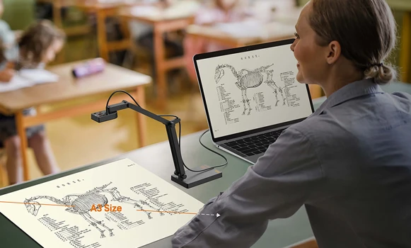 Visualiseurs de documents professionnels