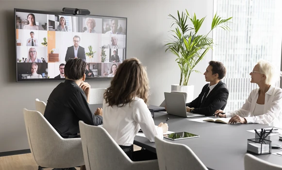 Écran professionnel