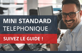 Guide d'achat mini standard téléphonique