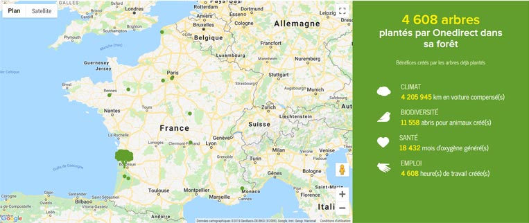 Forêt Onedirect